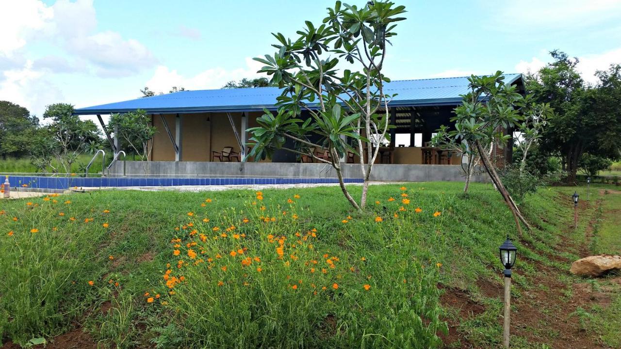 Birdwing Sigiriya Hotel Exterior foto