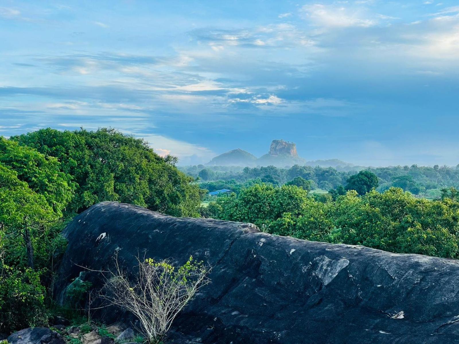Birdwing Sigiriya Hotel Exterior foto