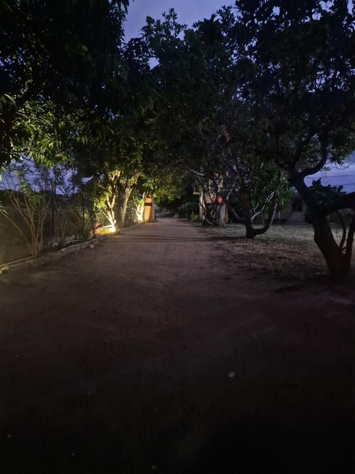 Birdwing Sigiriya Hotel Exterior foto